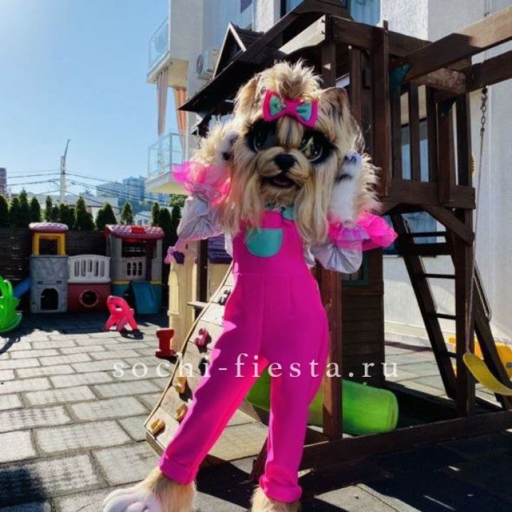 Аниматор Гламурная Собака в Невинномысске