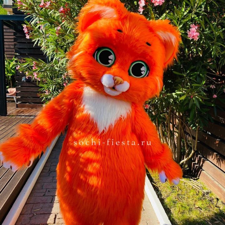 Аниматор Котик в Невинномысске