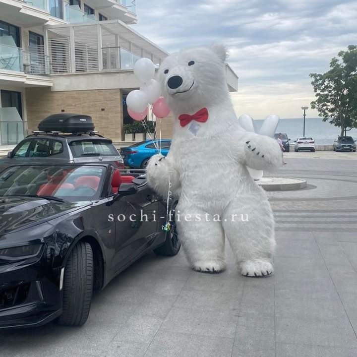 Аниматор Белый Медведь в Невинномысске