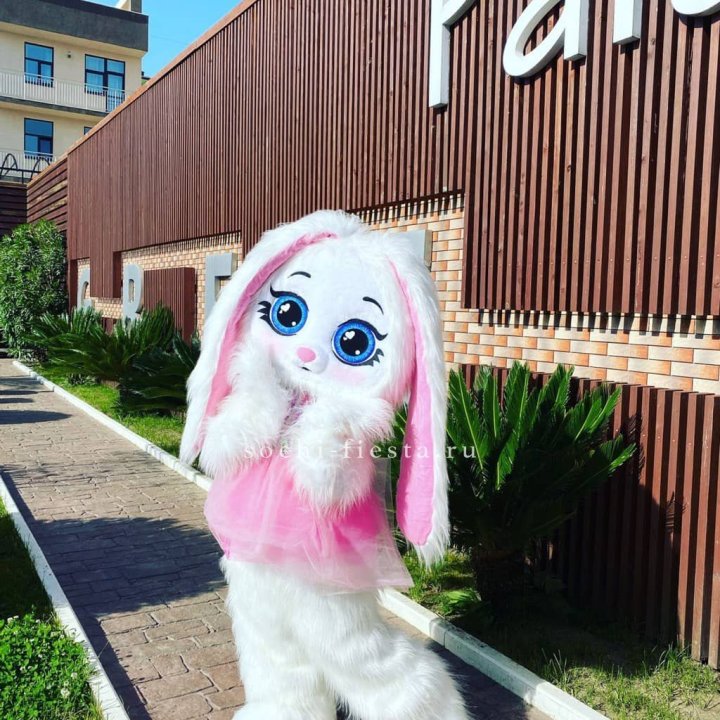 Аниматор Зайка в Невинномысске