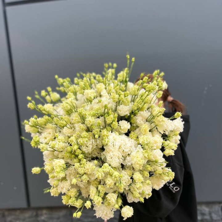 51 белая эустома в Невинномысске