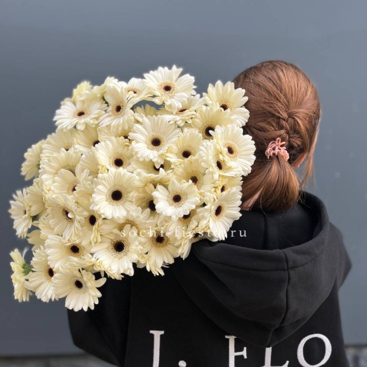 51 гербера в Невинномысске