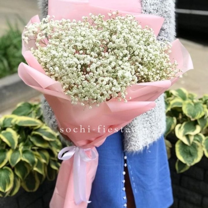 Белоснежные гипсофилы в Невинномысске