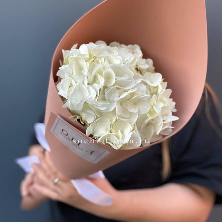 Гортензия в конверте в Невинномысске