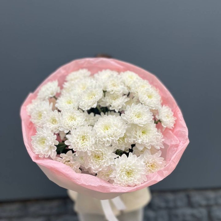  5 хризантем  с доставкой в Невинномысске