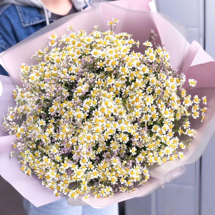 Букет ромашек №1 в Невинномысске