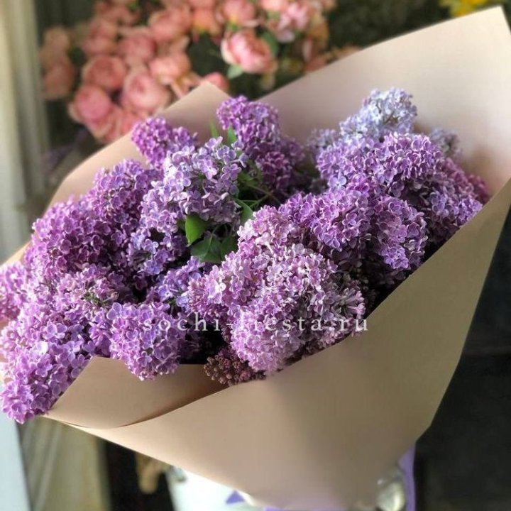 Букет сирени №2 в Невинномысске