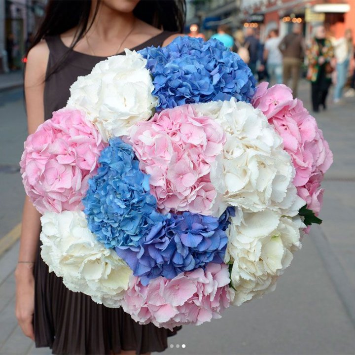 Букет гортензий "Инь-Янь" в Невинномысске