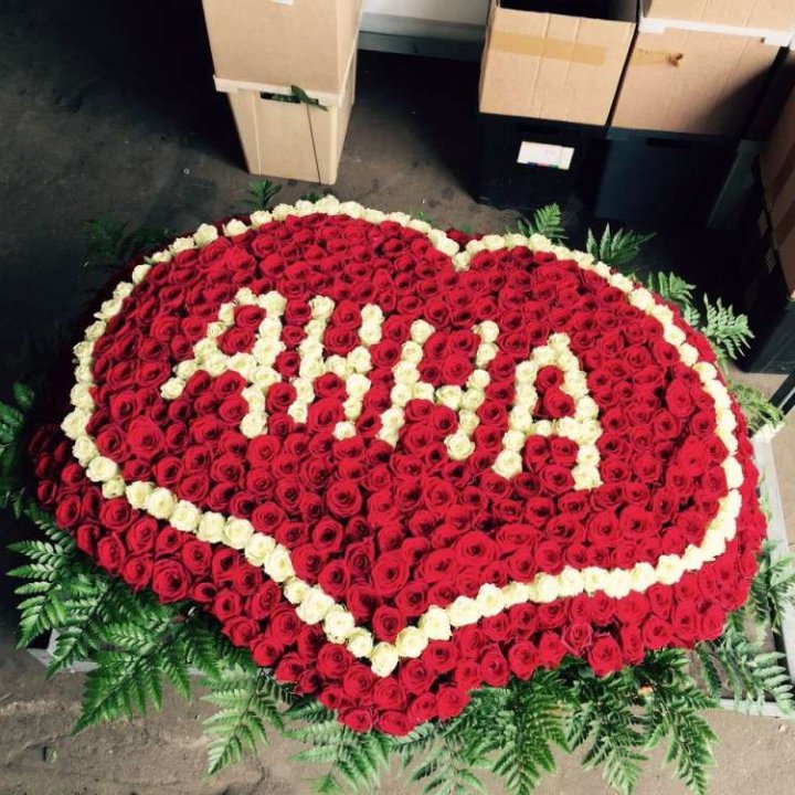 555 роз с именем в Невинномысске