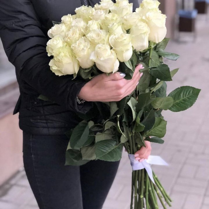 Голландские розы белые в Невинномысске