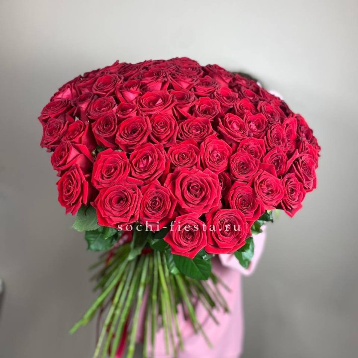 101  голландская роза  в Невинномысске