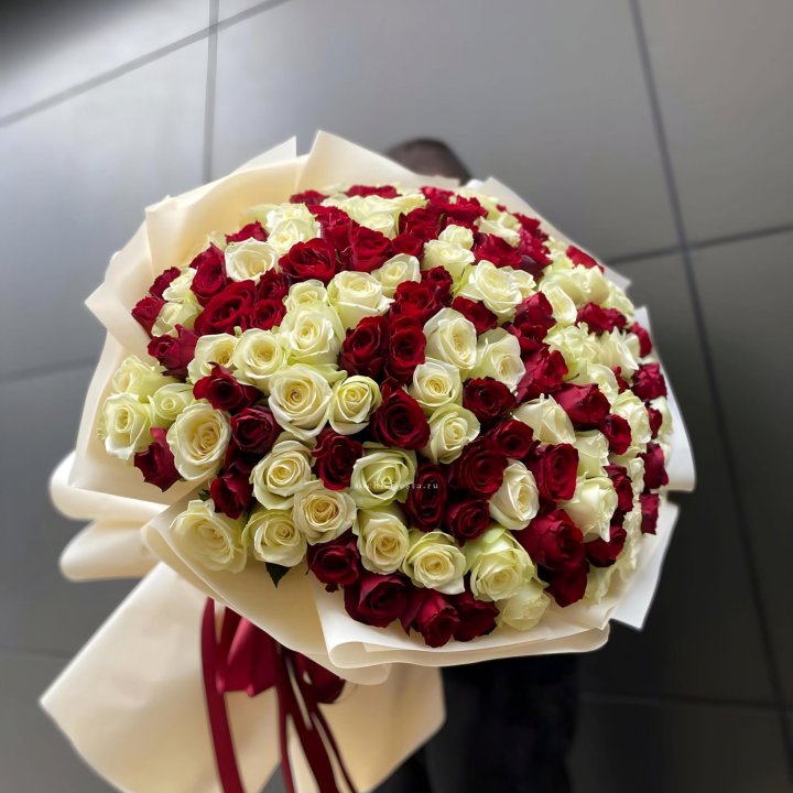 101 высокая импортная роза  в Невинномысске