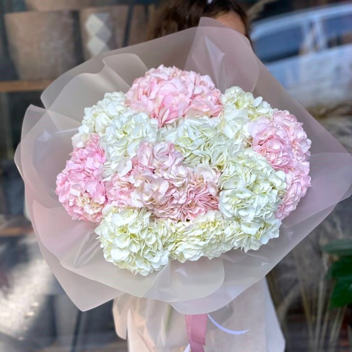 Букет гортензий № 3 с доставкой в Невинномысске