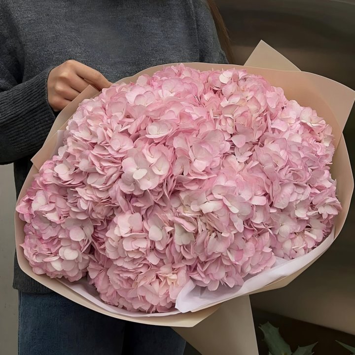 Гортензия  "РОЗЕ" в Невинномысске