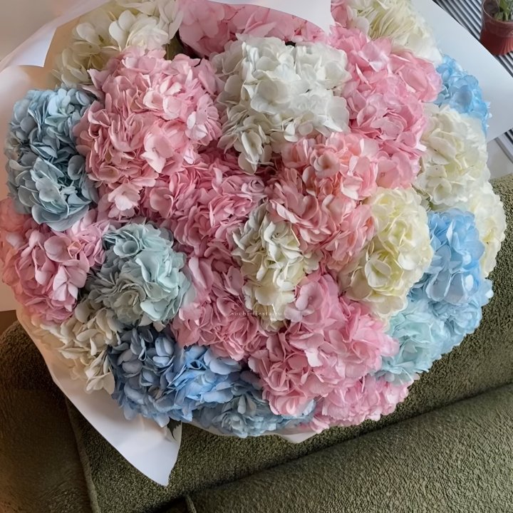 Букет гортензий микс в Невинномысске