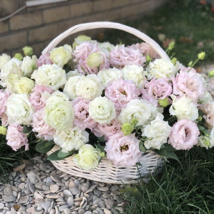 Корзина с эустомой в Невинномысске