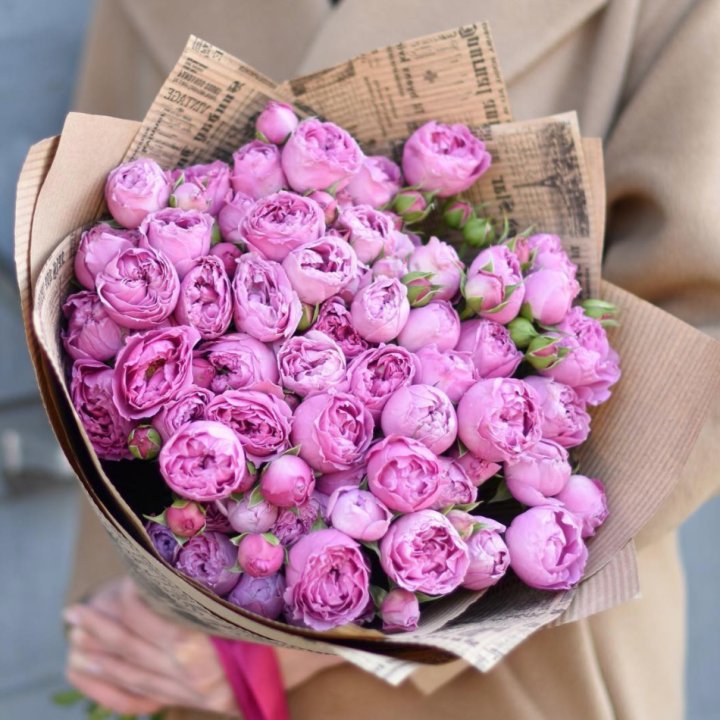 Роза Мисти Баблс в Невинномысске