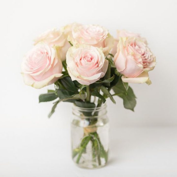 7 кремовых роз в Невинномысске