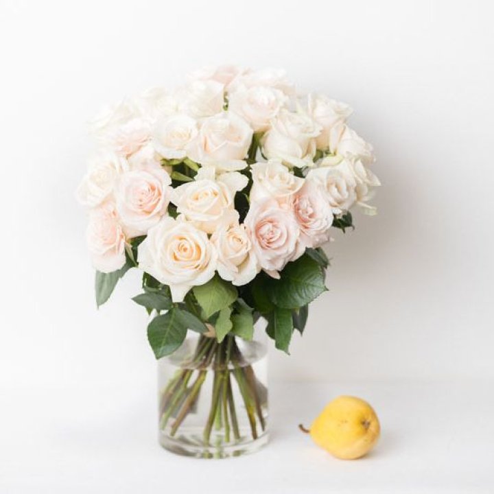 25 кремовых роз в Невинномысске