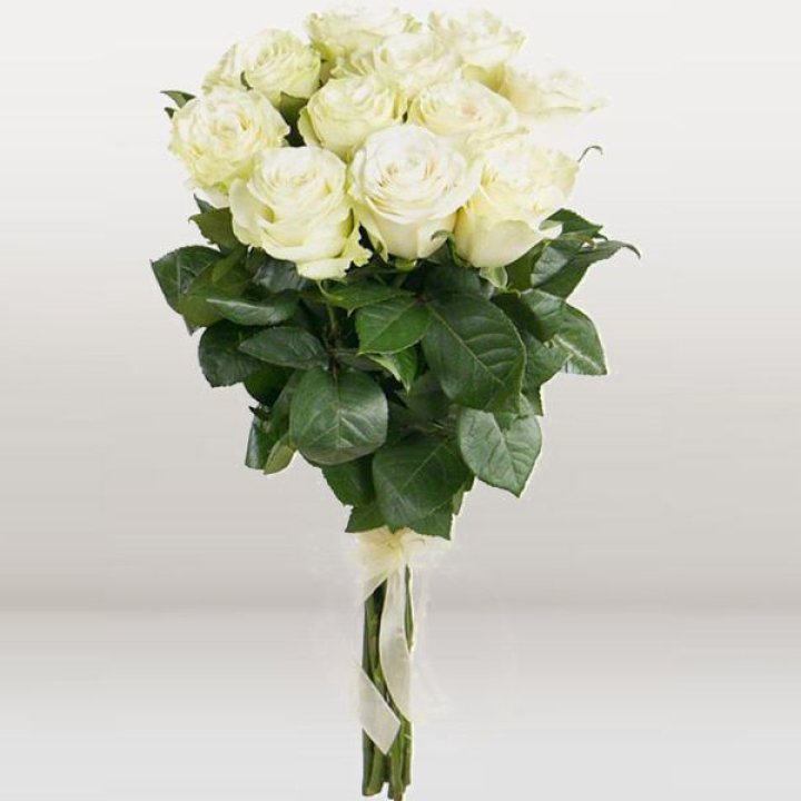 11 белых голландских роз в Невинномысске
