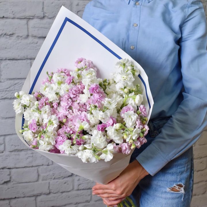 Маттиола в Невинномысске