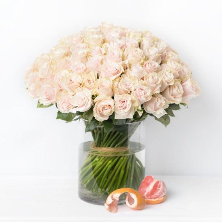 101 кремовая роза в Невинномысске