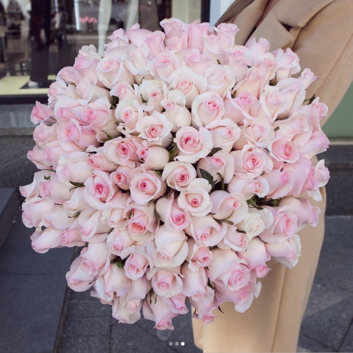 Розы "Пинк бум" в Невинномысске