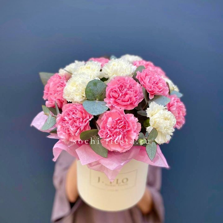 Диантусы в цилиндре в Невинномысске