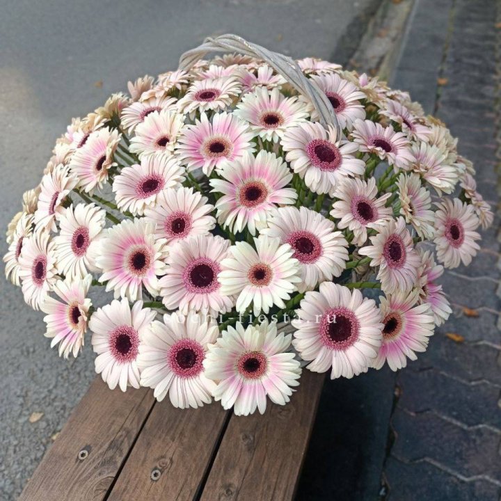 Корзина с герберами  в Невинномысске
