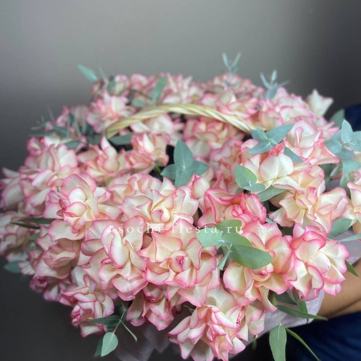 51 джумилия  в корзине   в Невинномысске