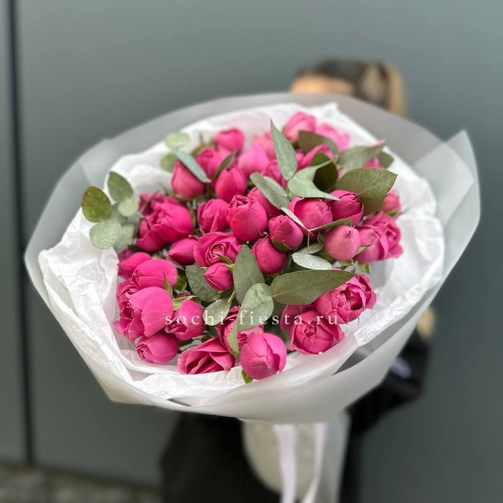 17 Мисти бабблс в Невинномысске