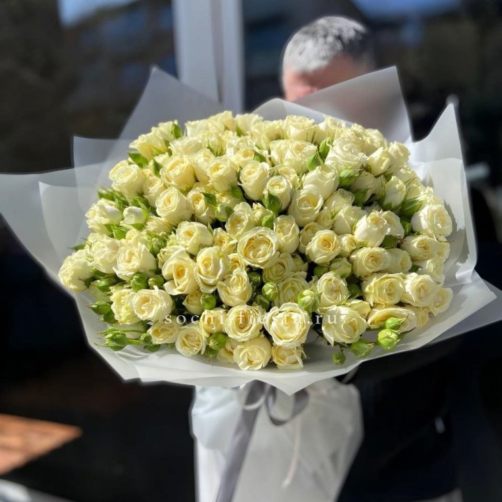 Белые кустовые розы 31 шт в Невинномысске