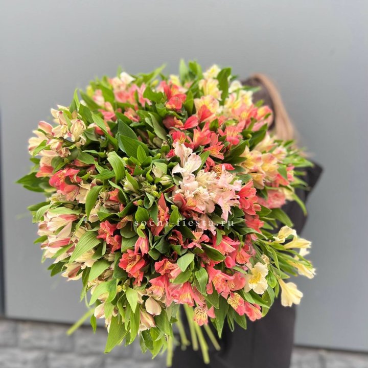 51 альстромерия в Невинномысске