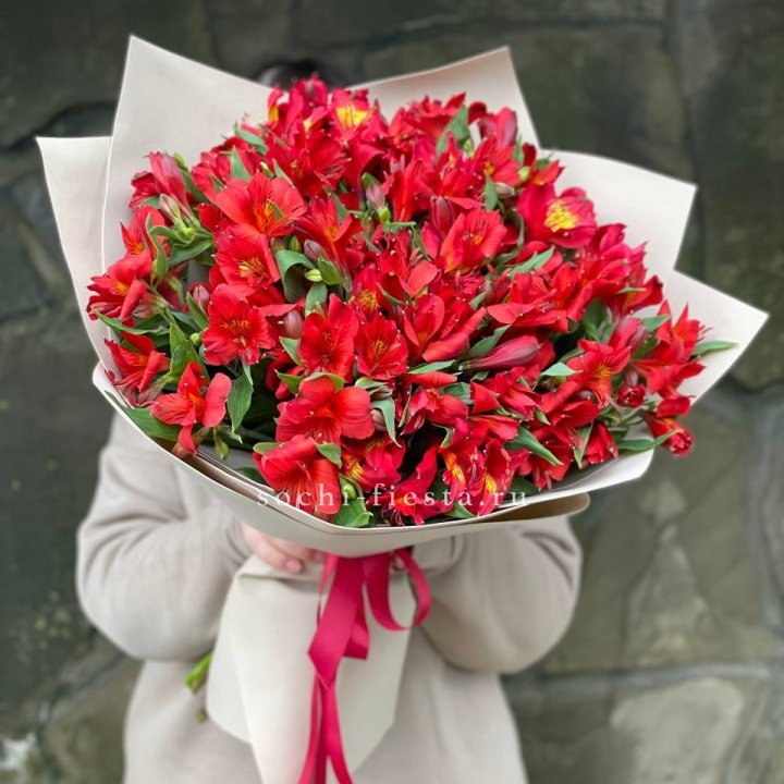 51 альстромерия в Невинномысске