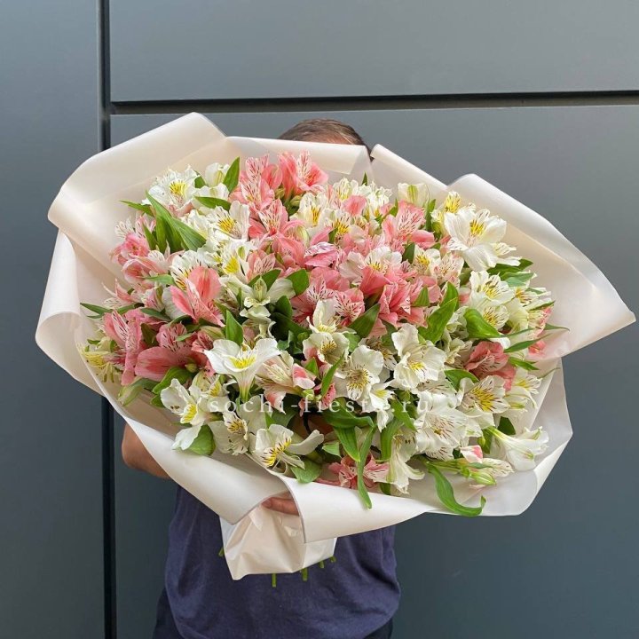 39 альстромерий в Невинномысске