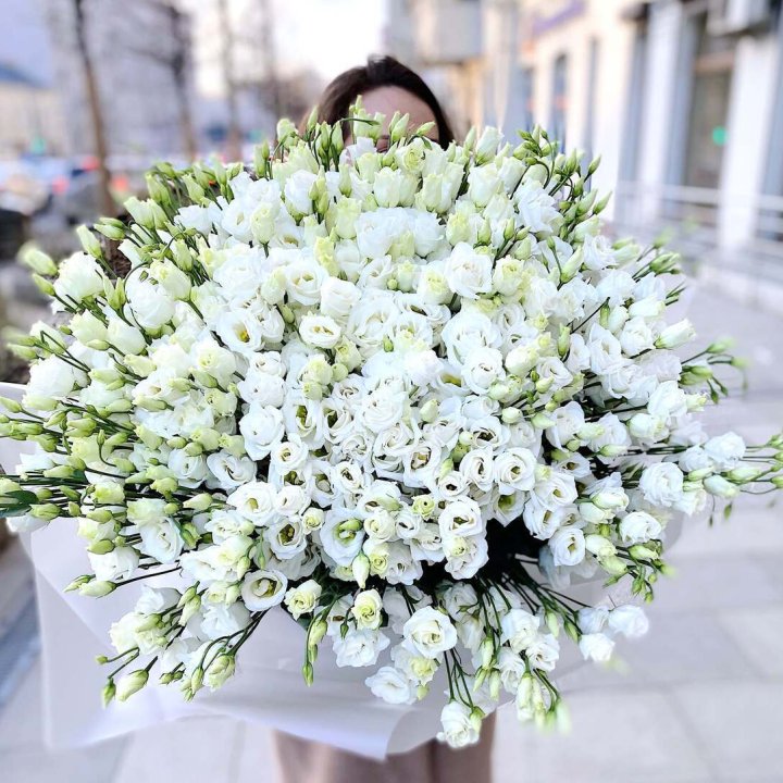 101 белая эустома в Невинномысске