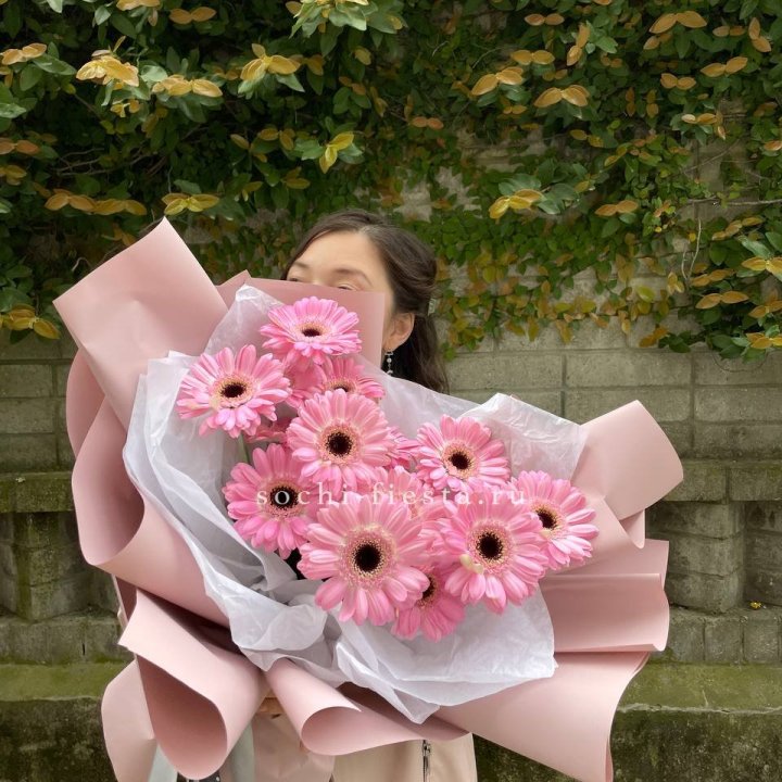 13 розовых гербер в Невинномысске