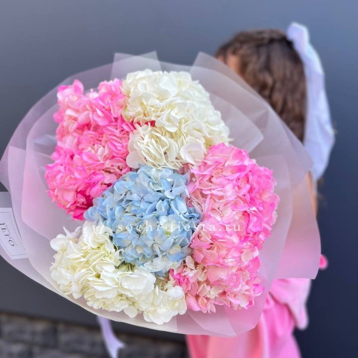 7 гортензий микс в Невинномысске