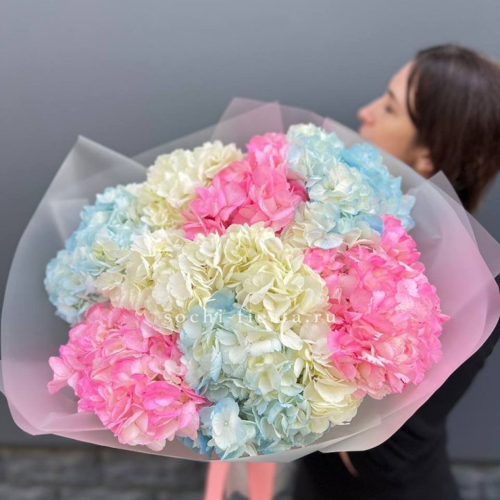 9 гортензий микс в Невинномысске