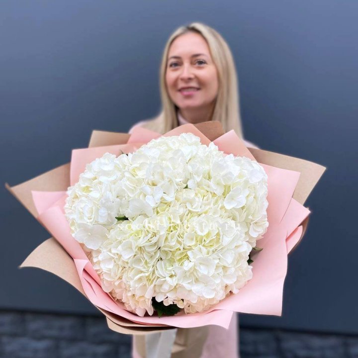 Гортензия белая в Невинномысске