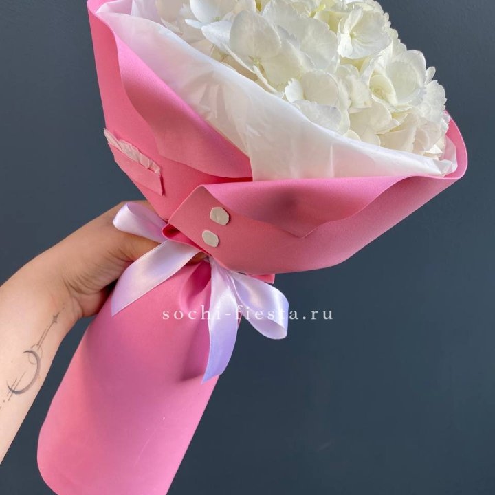 Гортензия в розовом пиджаке в Невинномысске