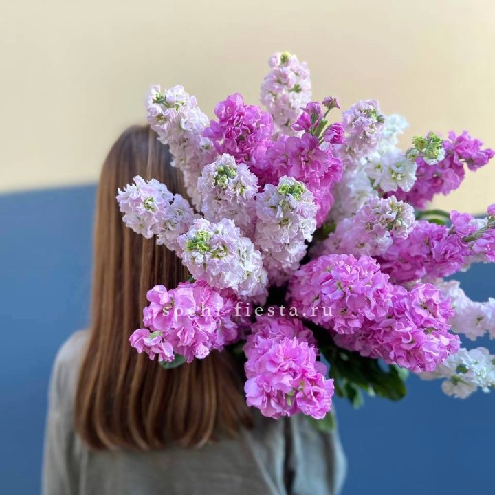 Охапка маттиолы в Невинномысске