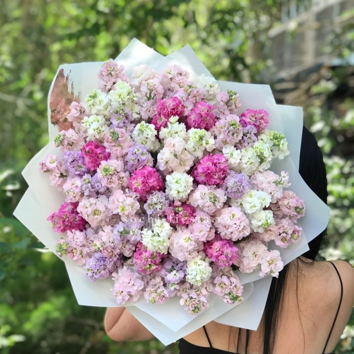 Букет ароматной маттиоллы №3 в Невинномысске