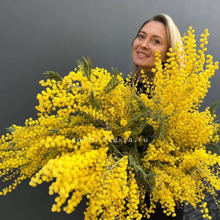 Охапка мимозы №2 в Невинномысске