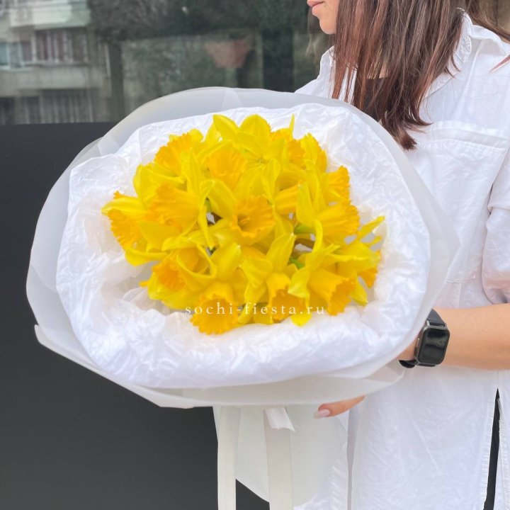 Нарциссы 25 шт в Невинномысске