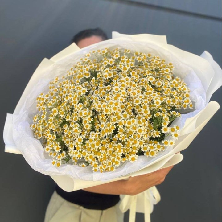 Букет ромашек №2 в Невинномысске