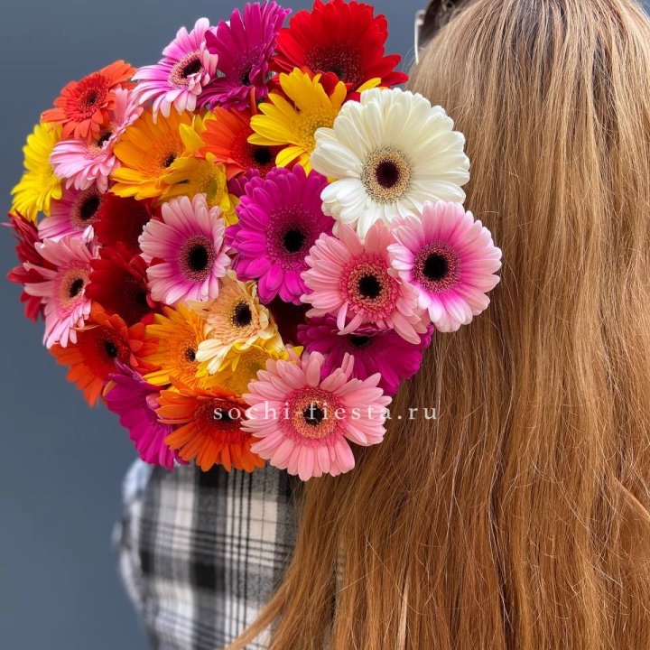 Охапка гербер  в Невинномысске