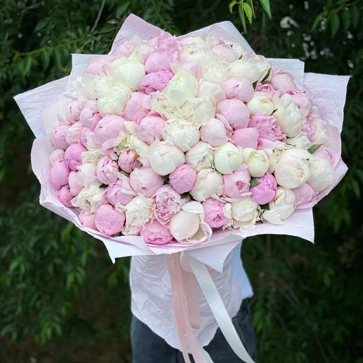 101 пион в Невинномысске