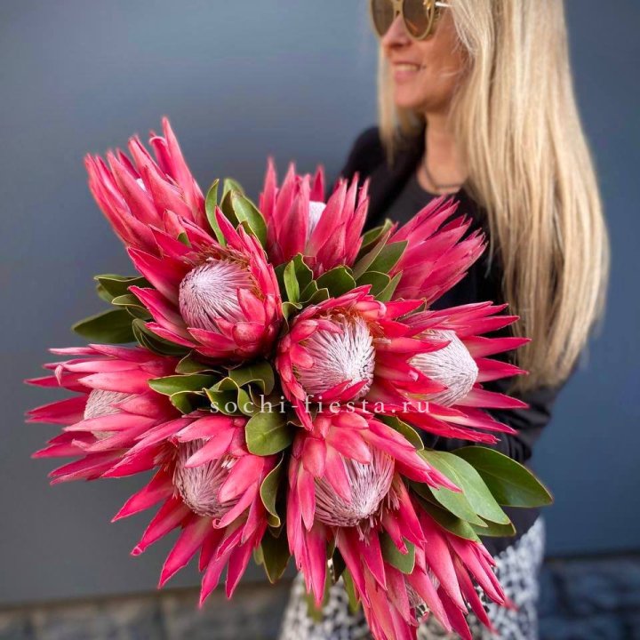 Протея штучно в Невинномысске