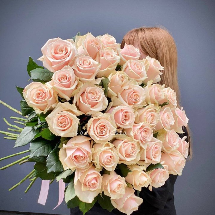 35 кремовых высоких роз в Невинномысске